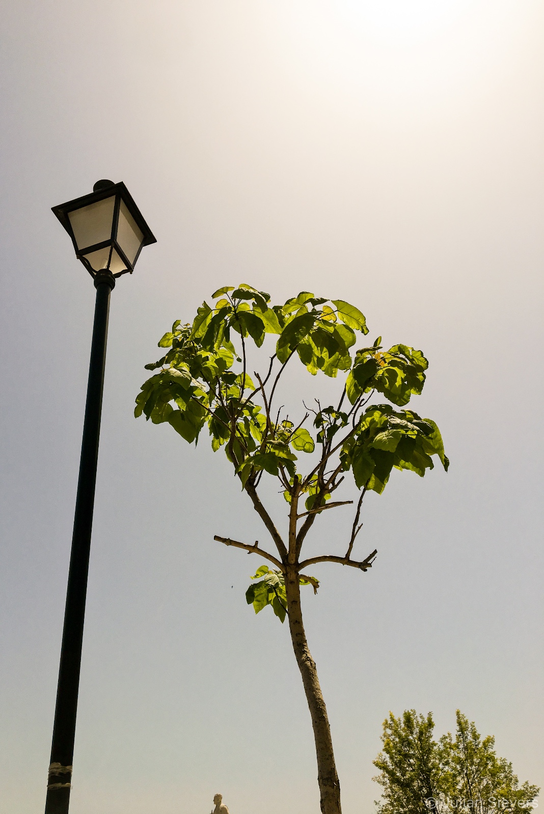 Corfu 005