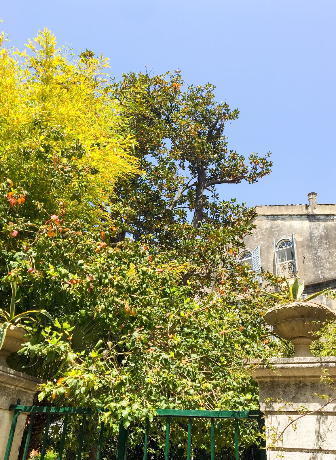 Corfu 006