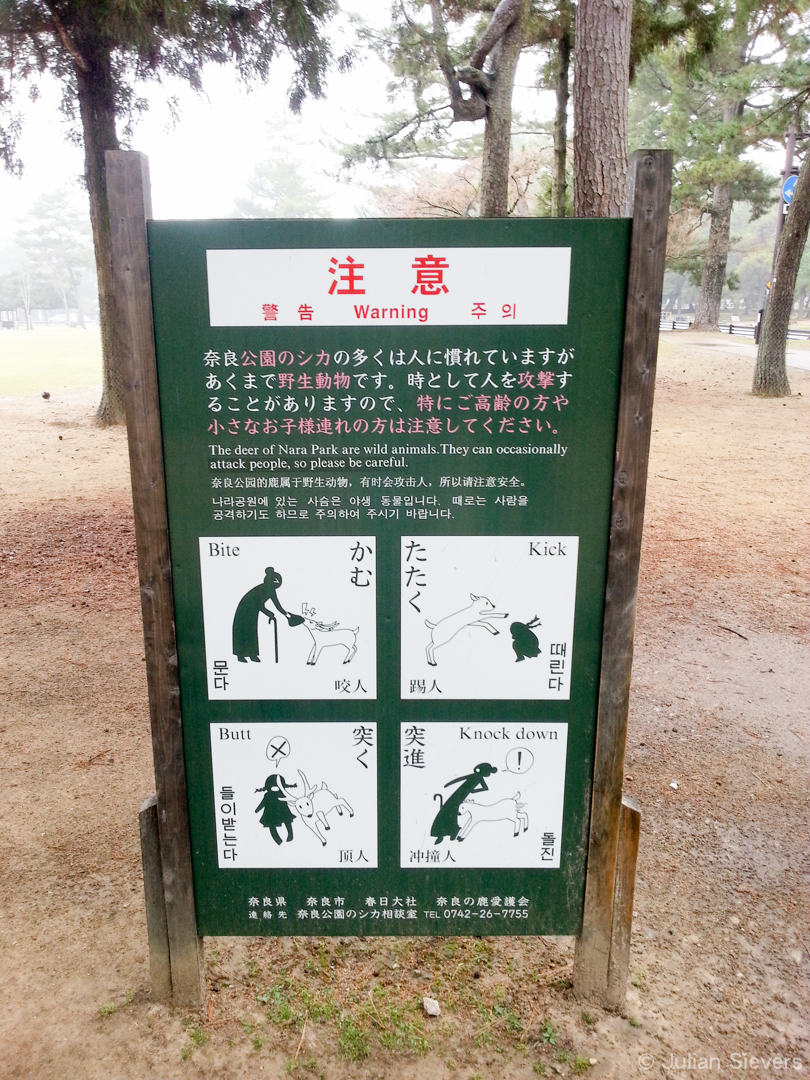 Japan 2013 009