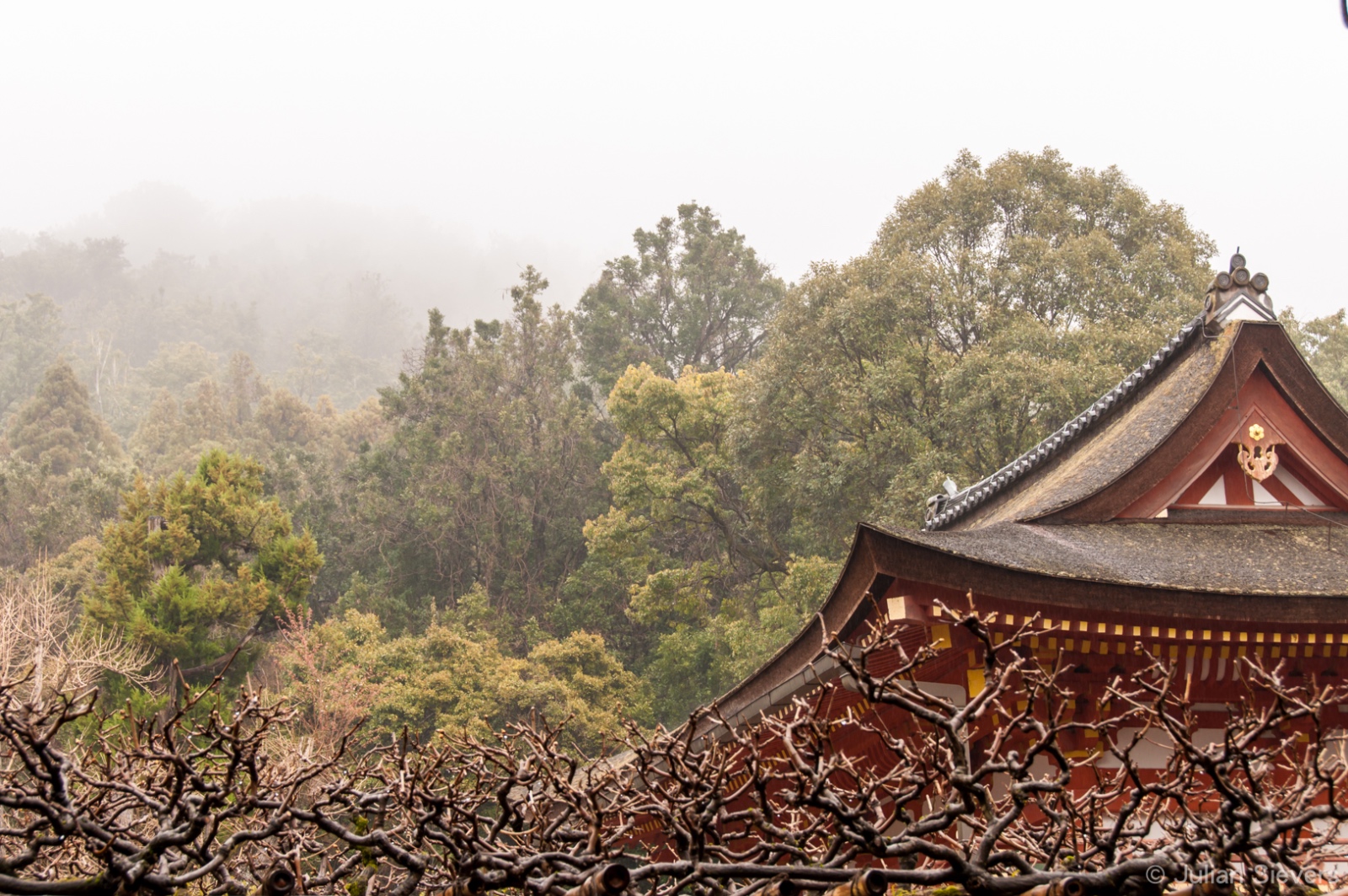Japan 2013 020
