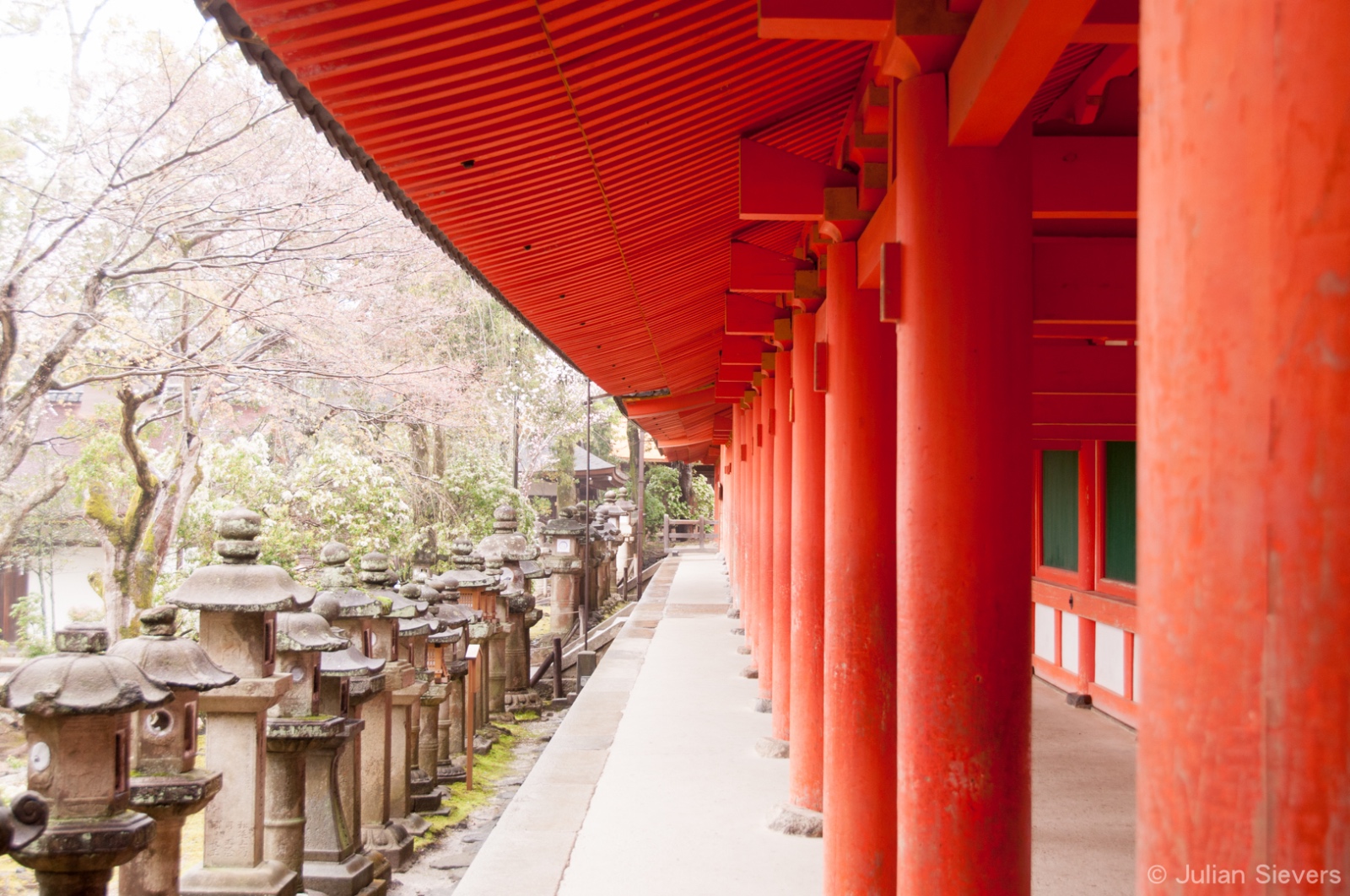 Japan 2013 023