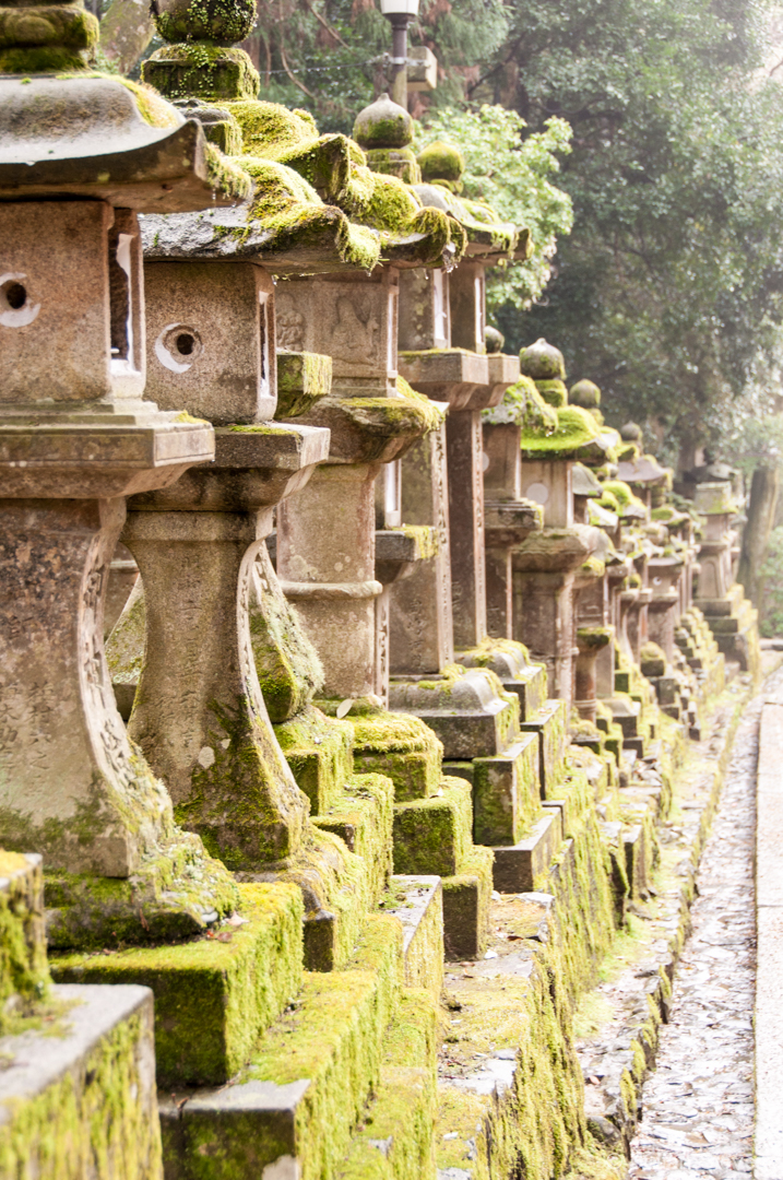 Japan 2013 025