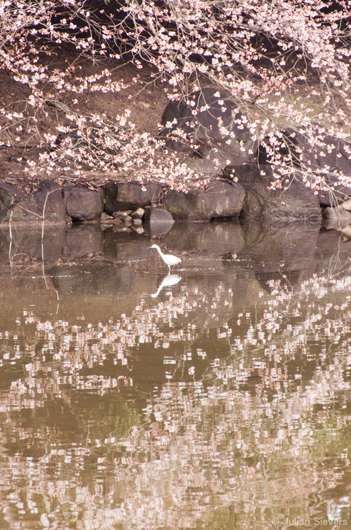 Japan 2013 026