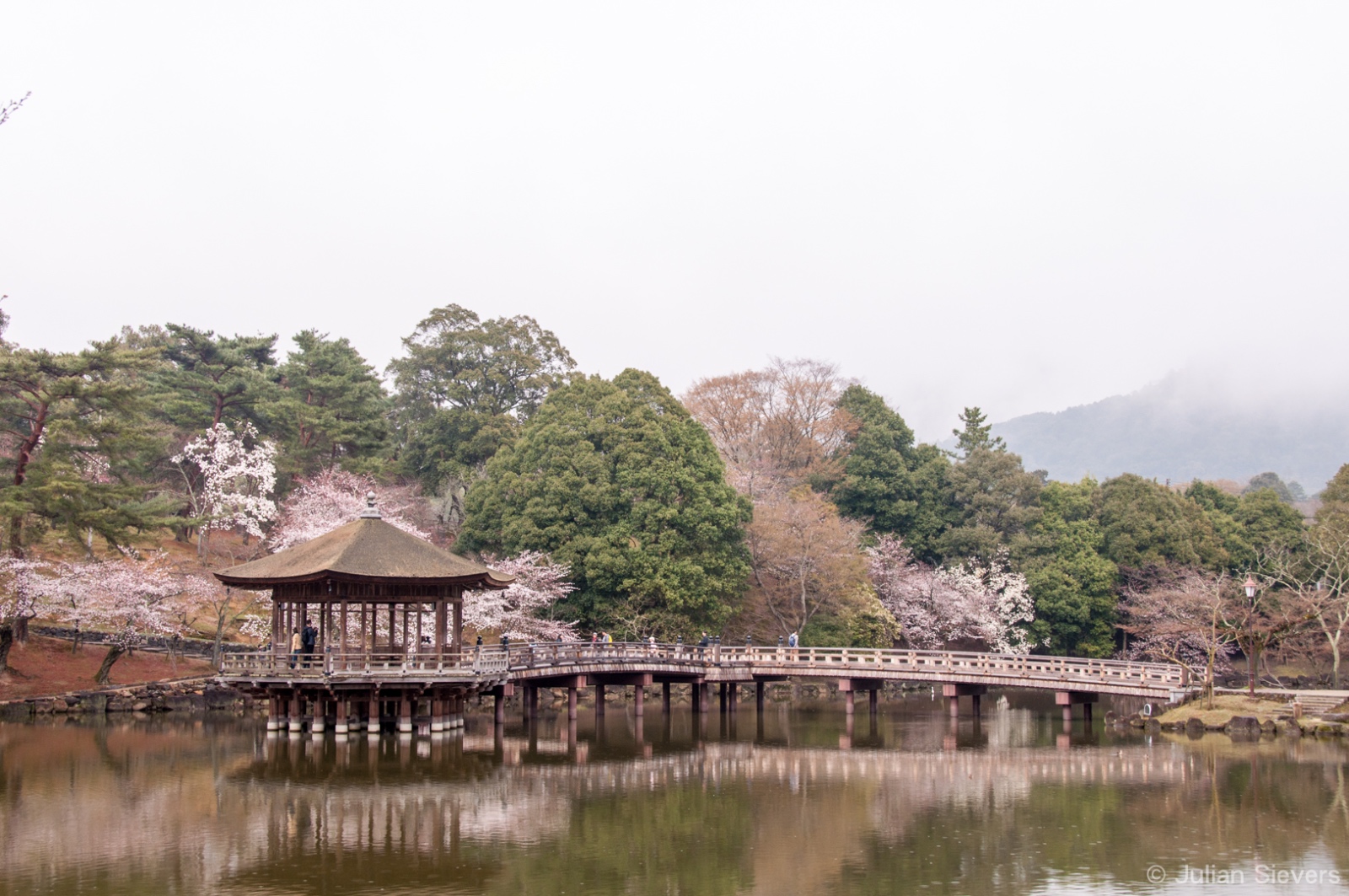 Japan 2013 027