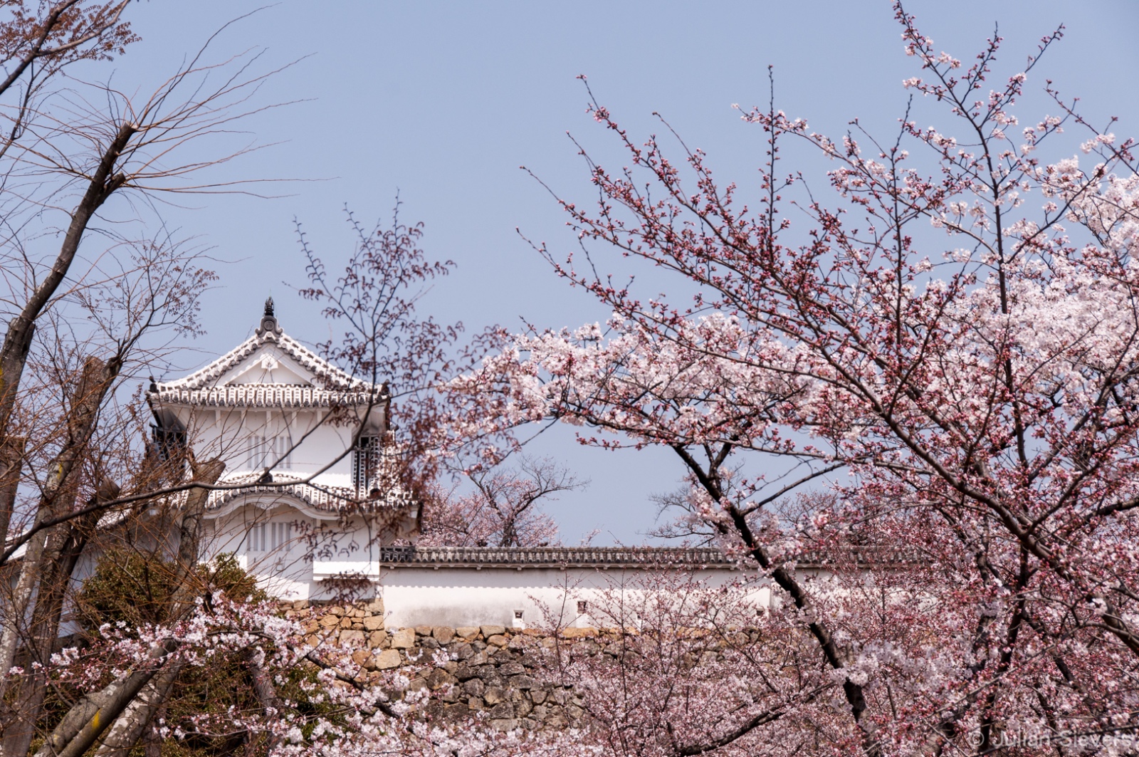 Japan 2013 040