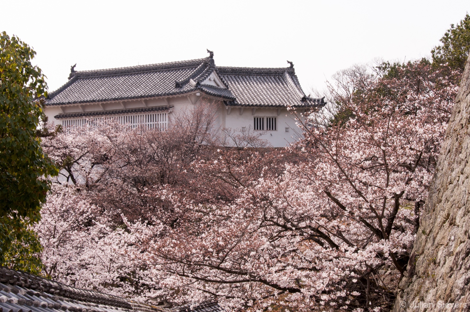 Japan 2013 043