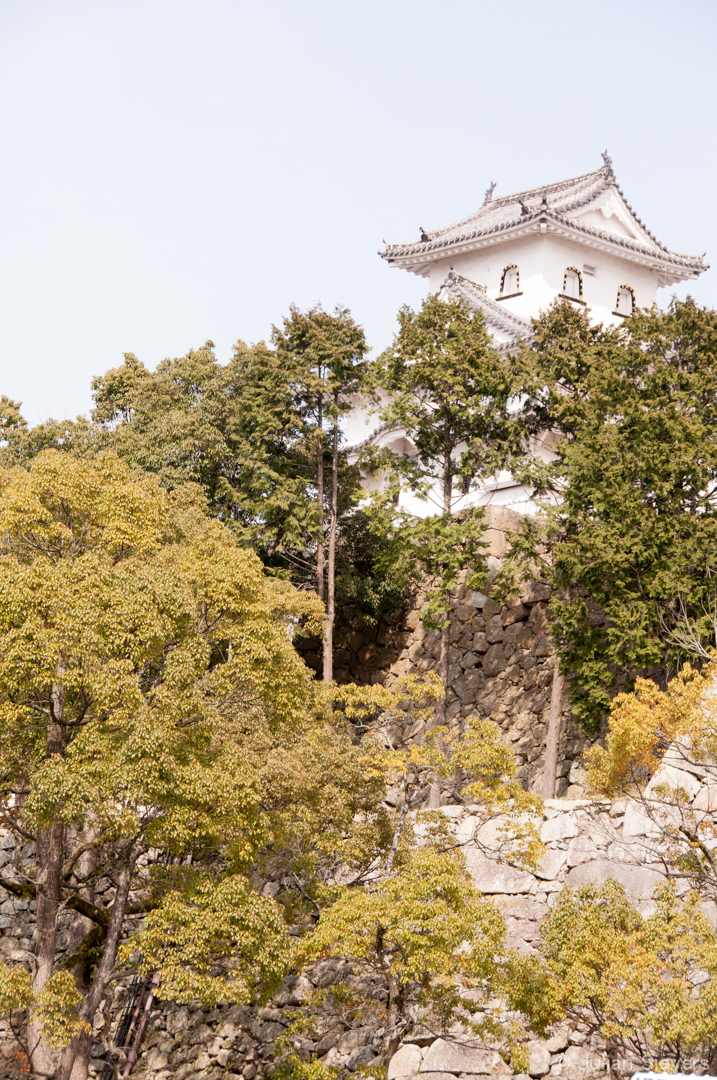 Japan 2013 045