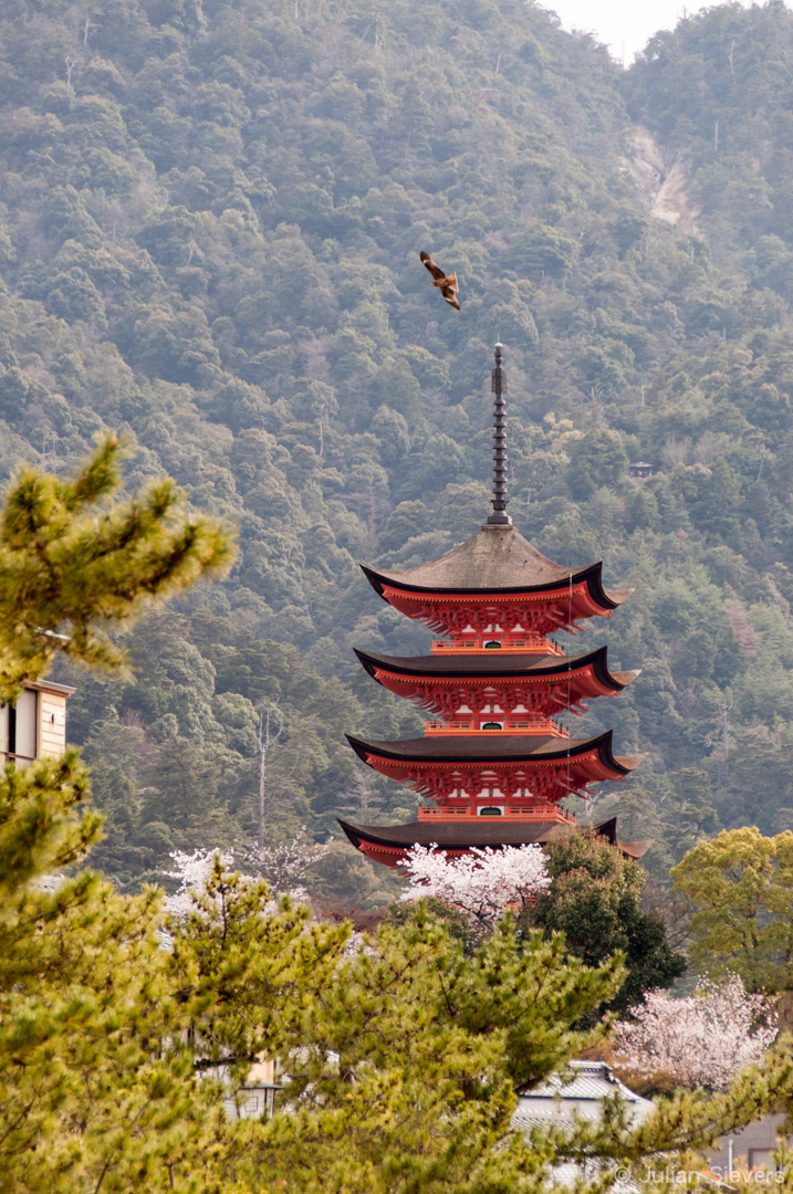 Japan 2013 061