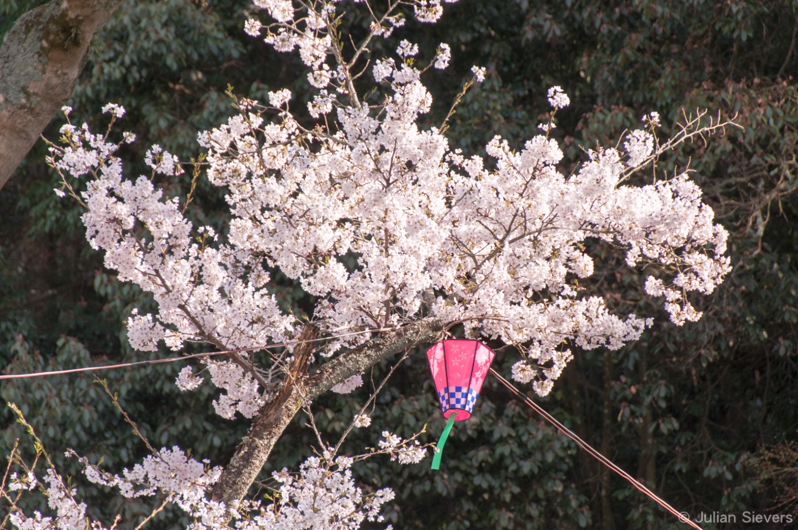 Japan 2013 069
