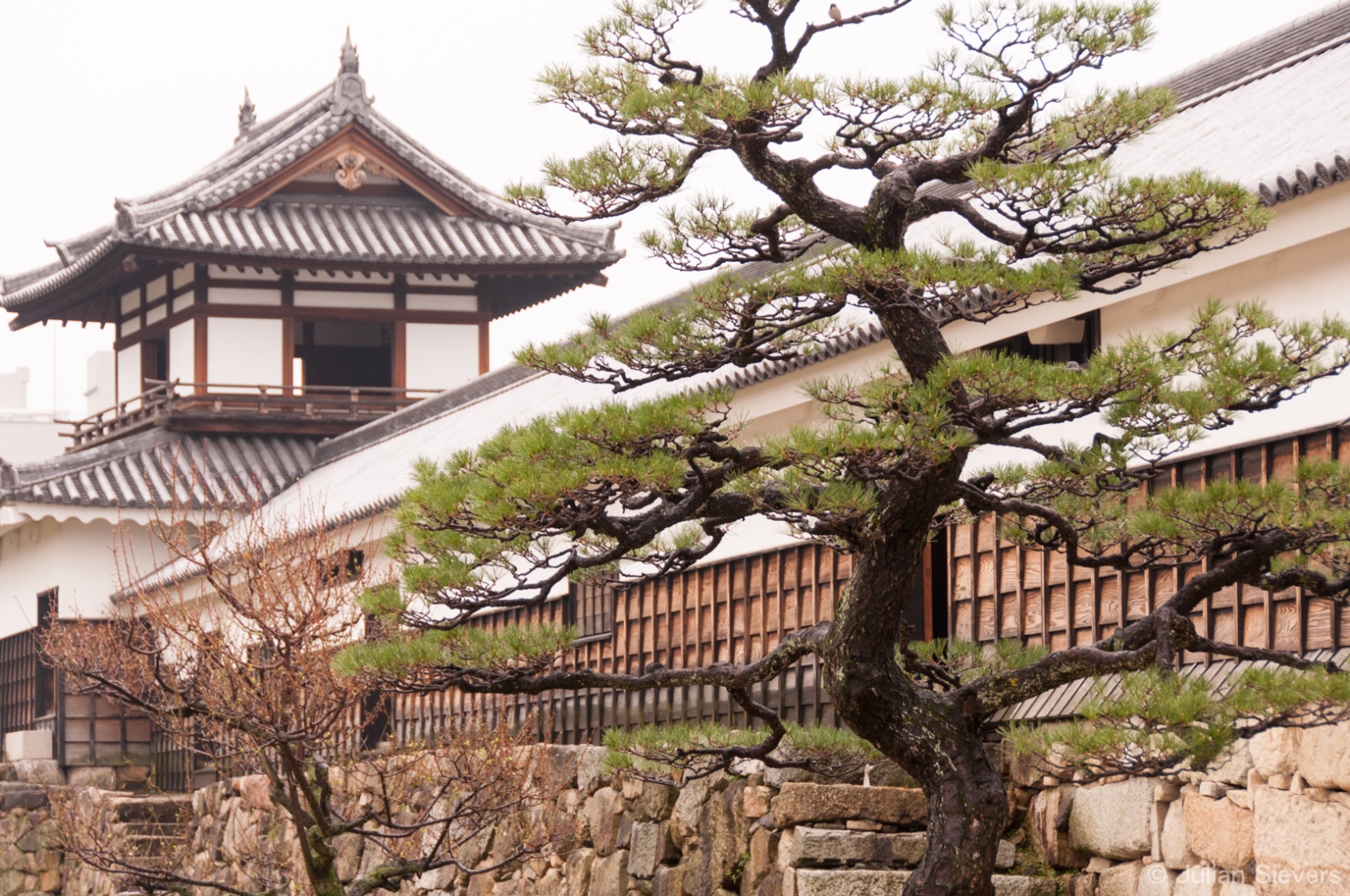Japan 2013 083