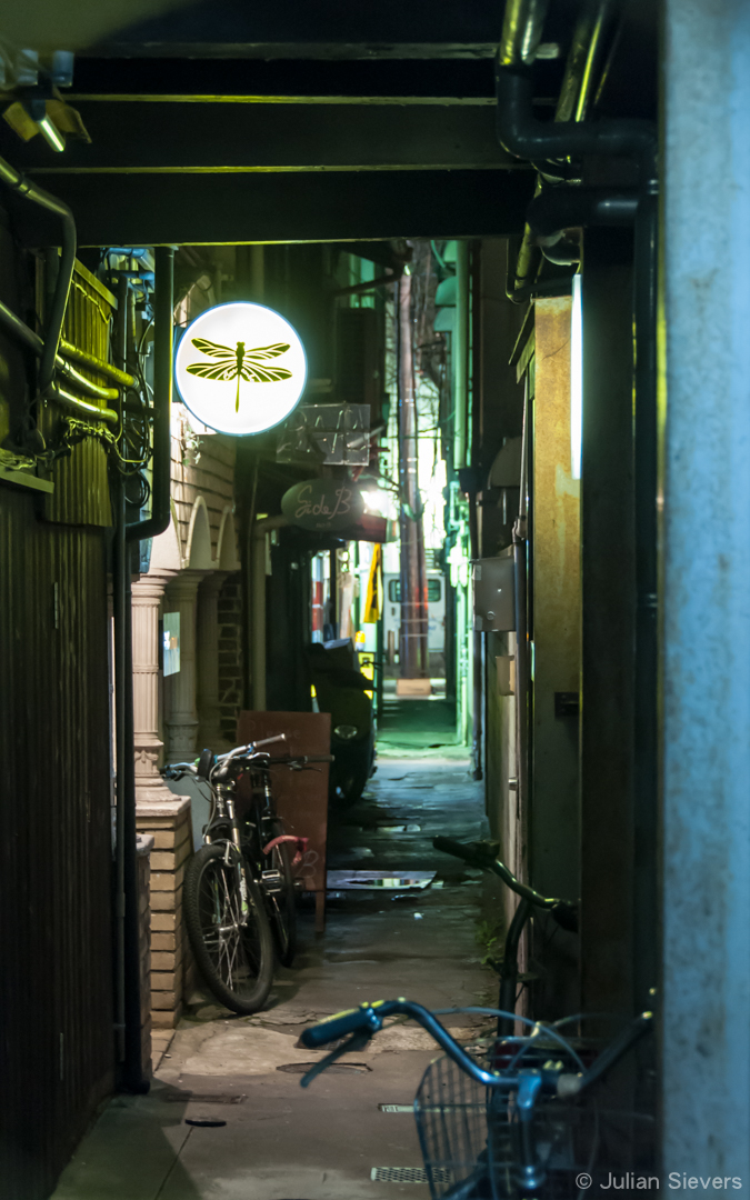 Japan 2013 095