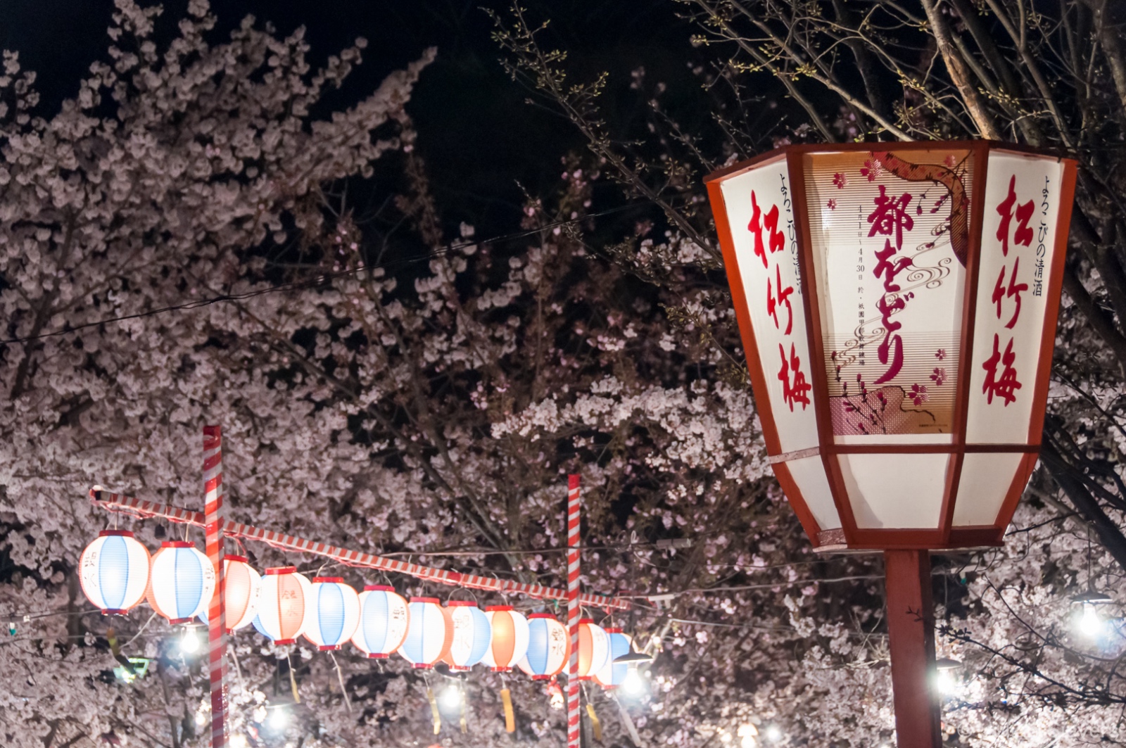Japan 2013 101