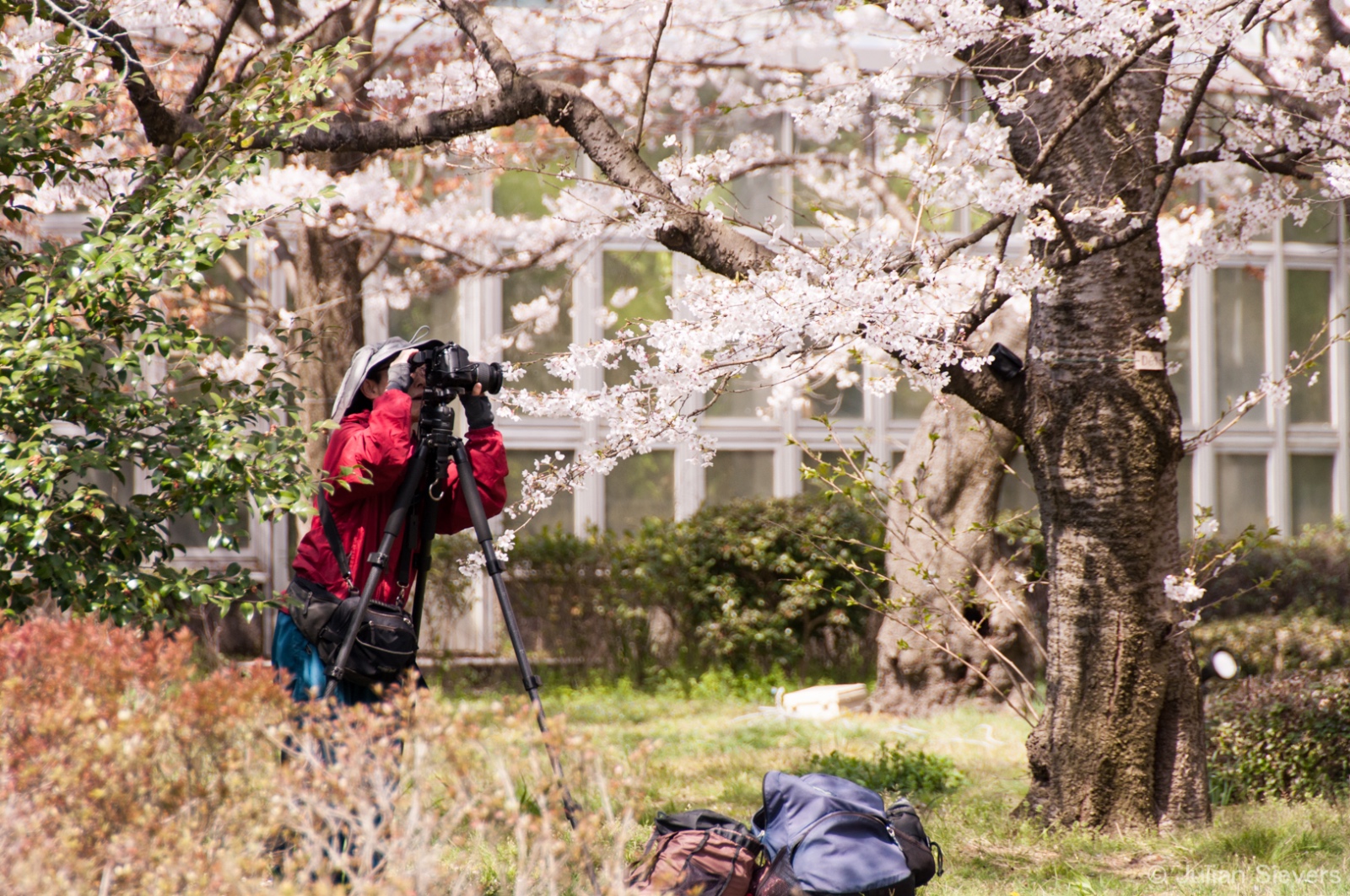 Japan 2013 106