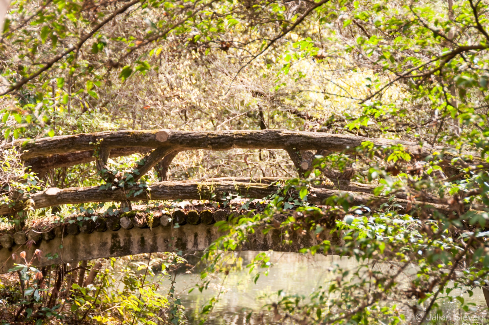 Japan 2013 107