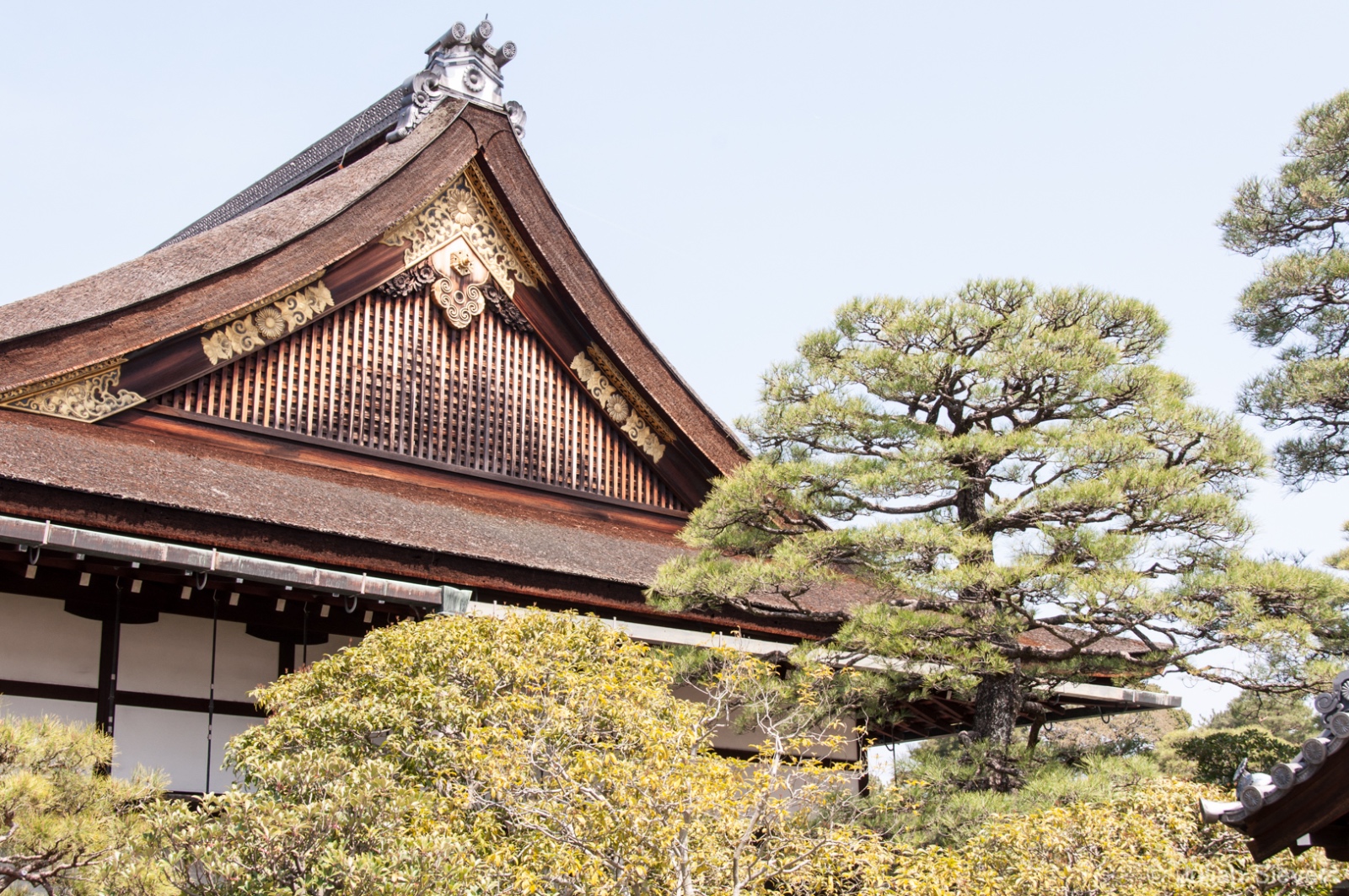 Japan 2013 110