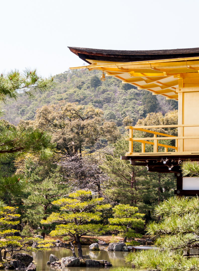Japan 2013 123