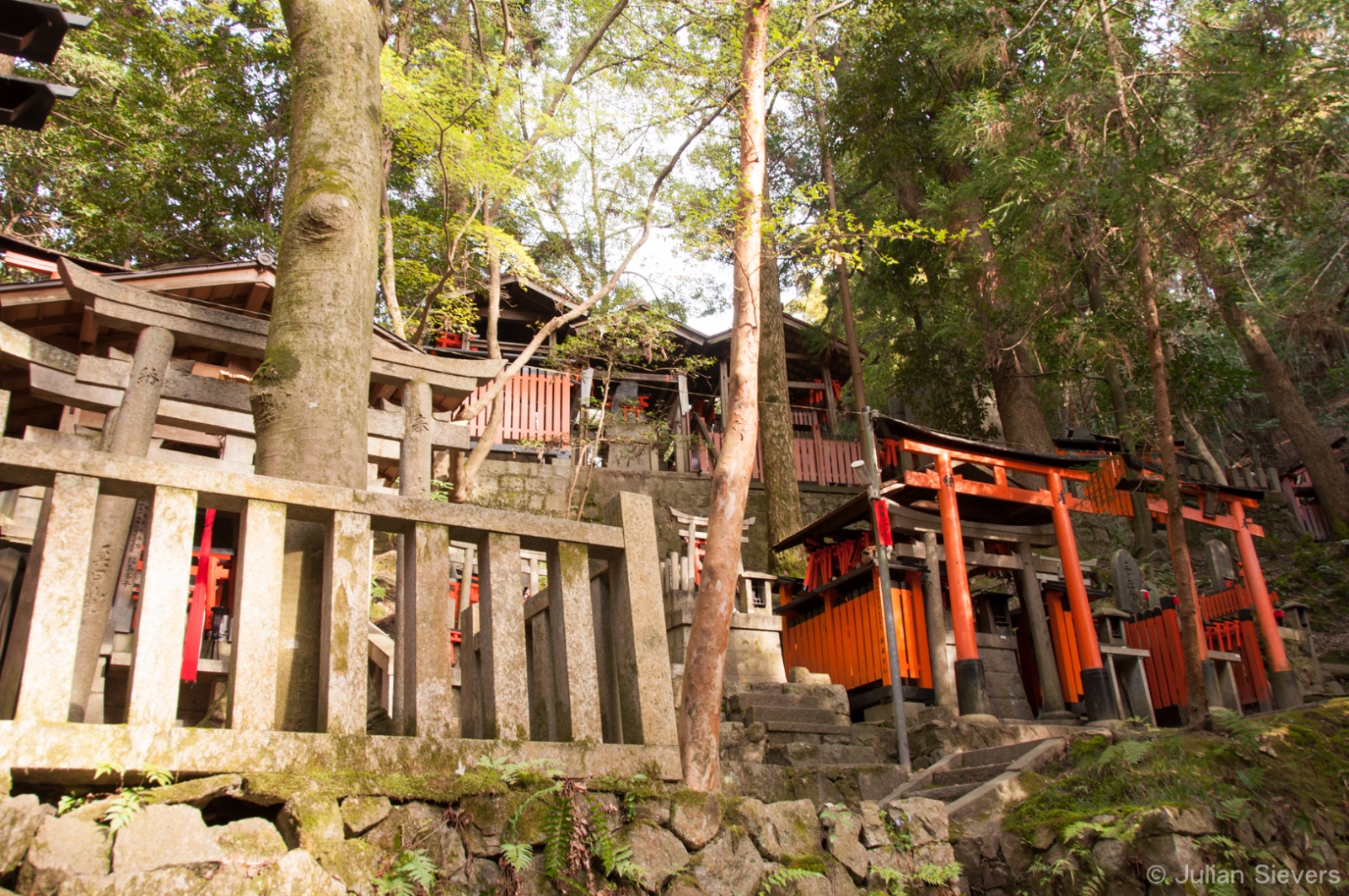 Japan 2013 131