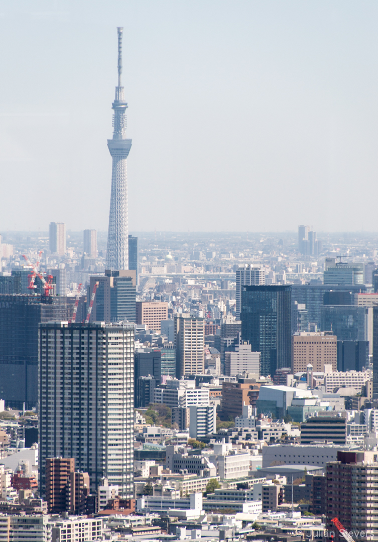 Japan 2013 167
