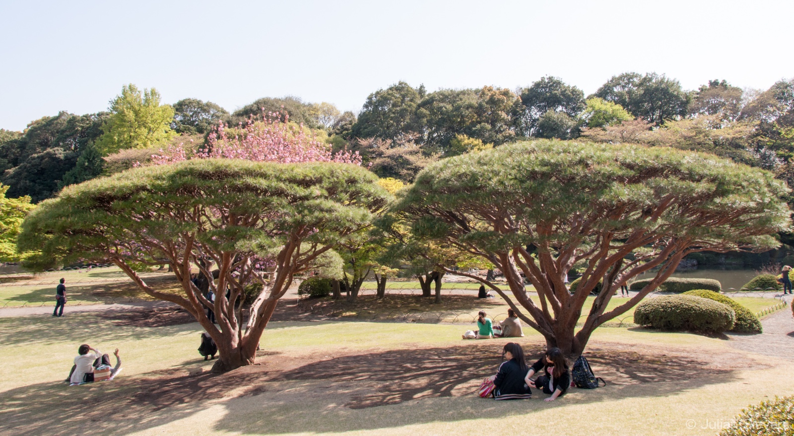 Japan 2013 174
