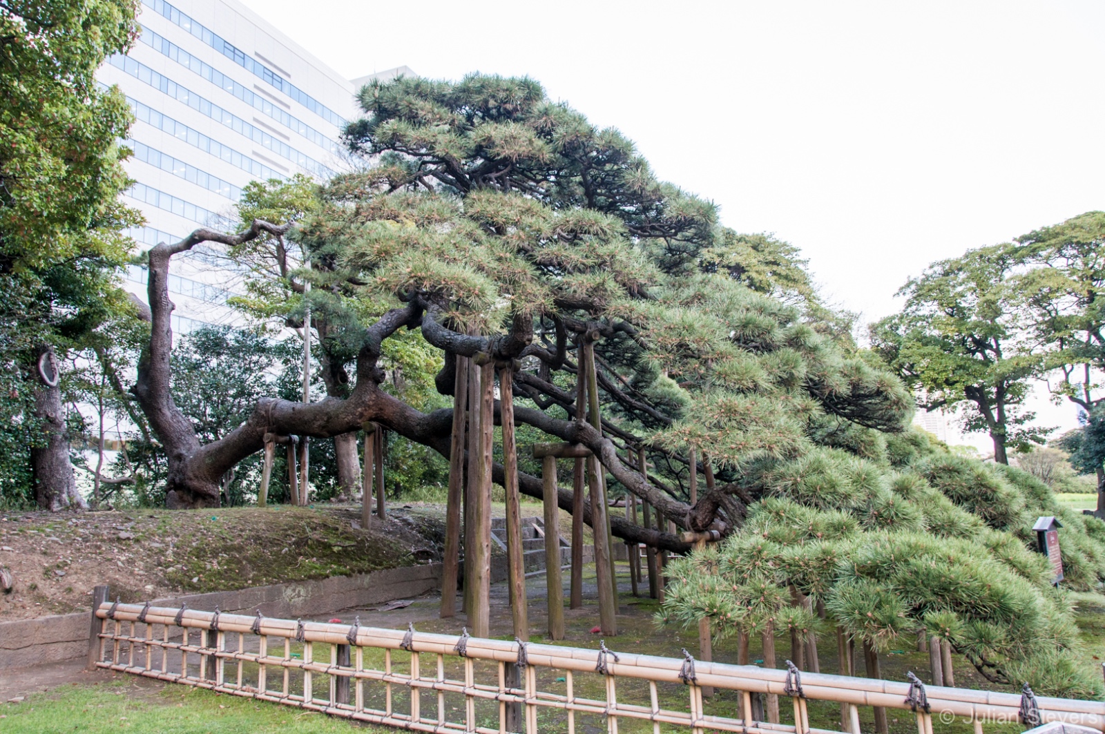 Japan 2013 182
