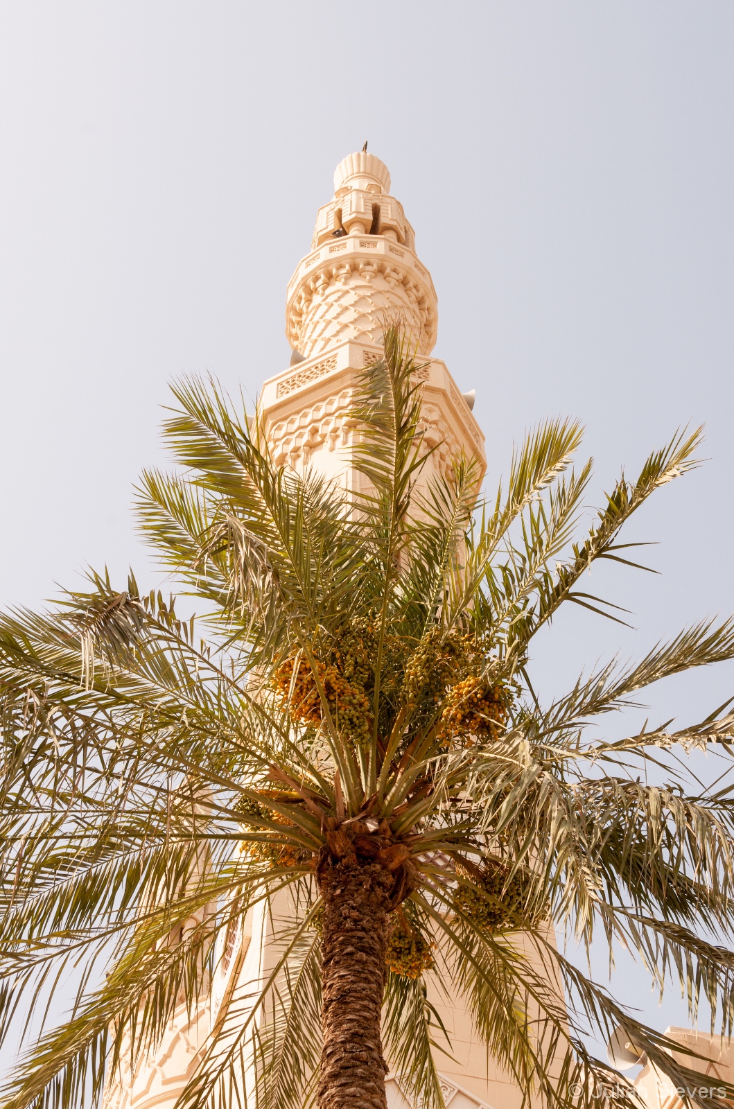 Dubai 031